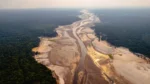Seca e crise hídrica em rios da Amazônia, em 2024, afetam diversas comunidades. Foto: Jacqueline Lisboa/WWF-Brasil