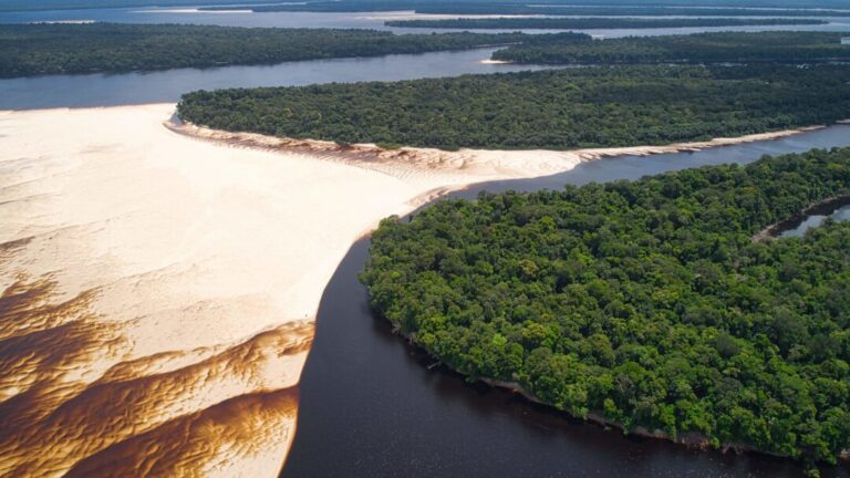 Desmate da Amazônia corta chuvas no Paraná e ameaça produção de grãos do estado