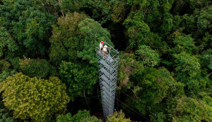 O legado de seu Duquinha e a ciência que estuda a regeneração da floresta na Amazônia