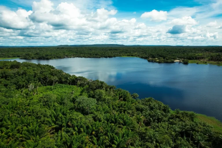 Um Dia no Parque: UCs da Amazônia promovem atividades gratuitas