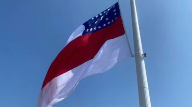 Como será a nova bandeira do Amazonas? Proposta de lei aprovada permite mudança histórica