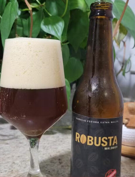 Cerveja com café? Empreendedor cria bebida alcoólica com Robusta Amazônico em RO