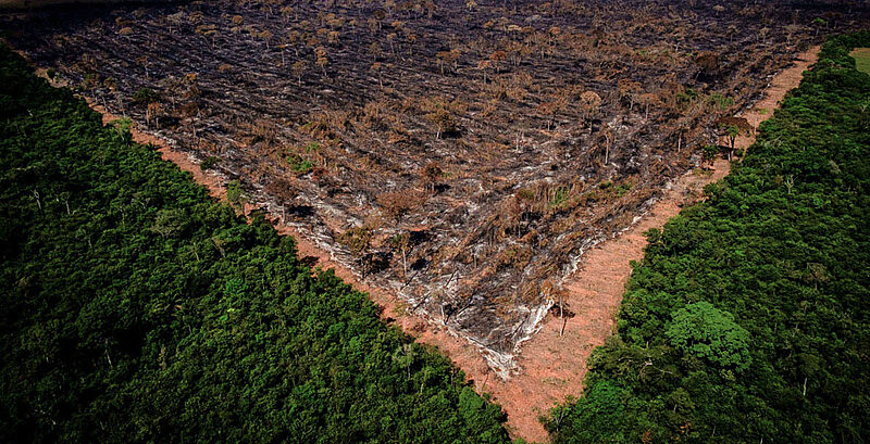 Fim da moratória da soja pode aumentar a destruição da Amazônia em 1,4 milhões de hectares nos próximos 10 anos