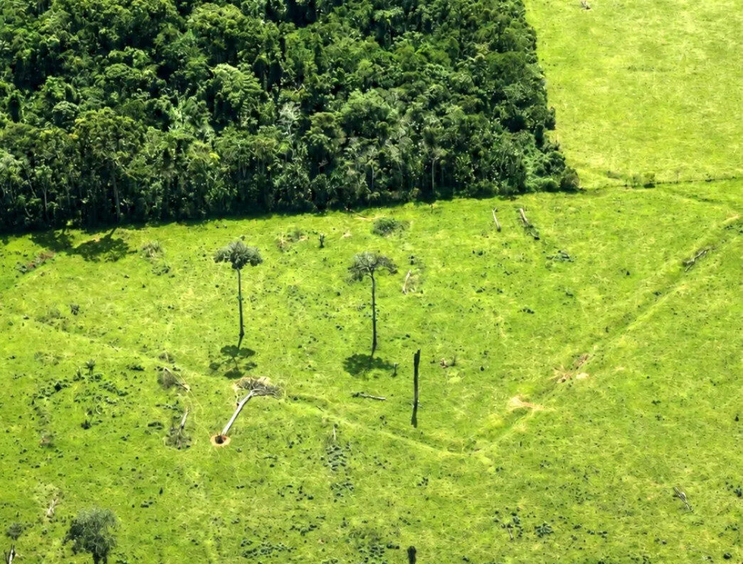 geoglifos no acre