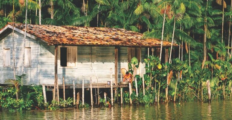 ‘Guardiãs da Floresta’ propõe colocar mulheres do Marajó no centro do debate climático