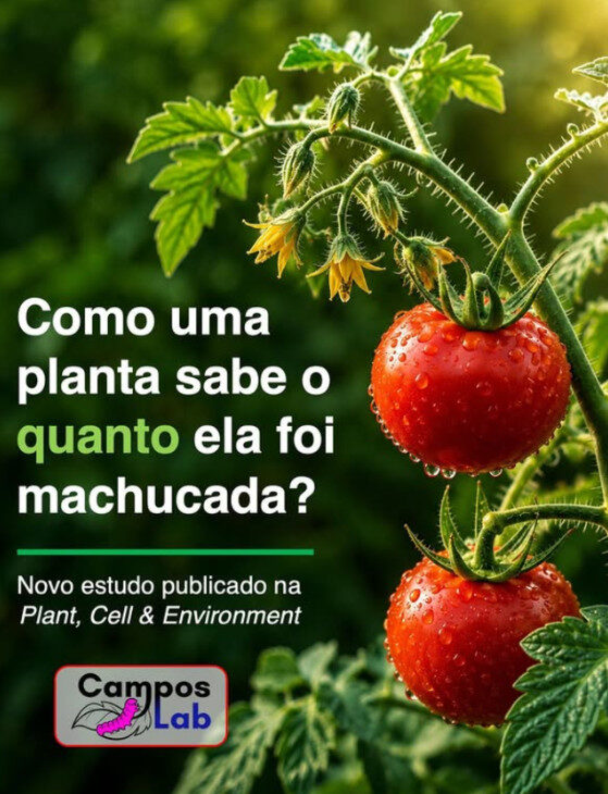 Estudo revela as complexidades da defesa das plantas