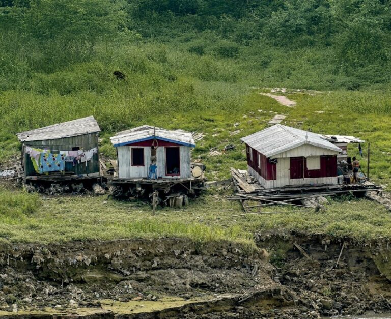 Degradação amazônica impacta mais cadeia alimentar dos pobres