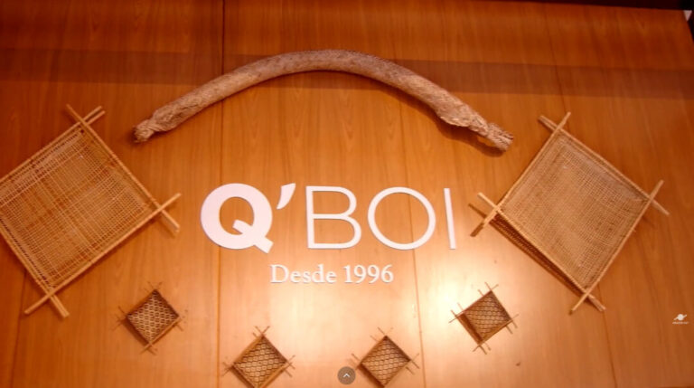 Q’Boi transforma paixão pelo Festival de Parintins em negócio e mantém viva a cultura dos bois durante o ano inteiro