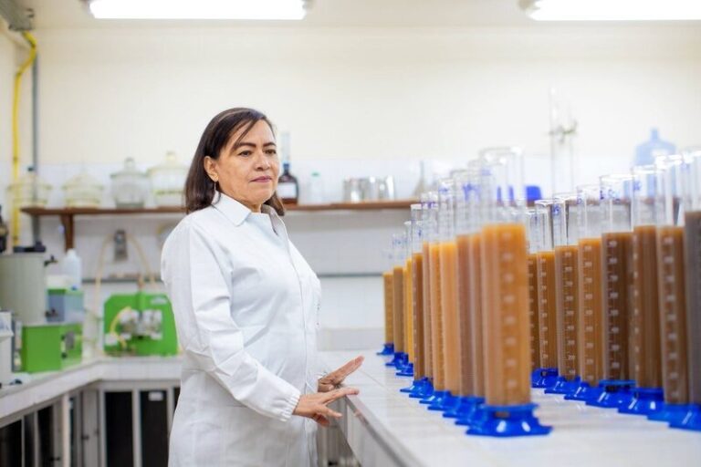 Prêmio Fundação Bunge reconhece trajetória de pesquisadora dedicada à agricultura familiar e indígena