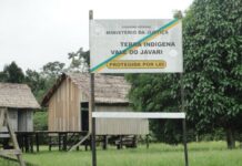 Imagem colorida mostra área do Vale do Javari exemplo de combate ao desmatamento