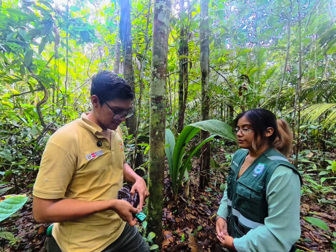 IIAP apresenta experiência imersiva que aproxima público do trabalho científico na Amazônia peruana