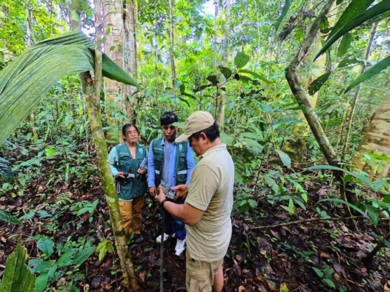 IIAP apresenta experiência imersiva que aproxima público do trabalho científico na Amazônia peruana