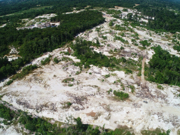 IIAP propõe restaurar varillales degradadas pela extração de areia através de “ilhas de fertilidade” na Amazônia peruana