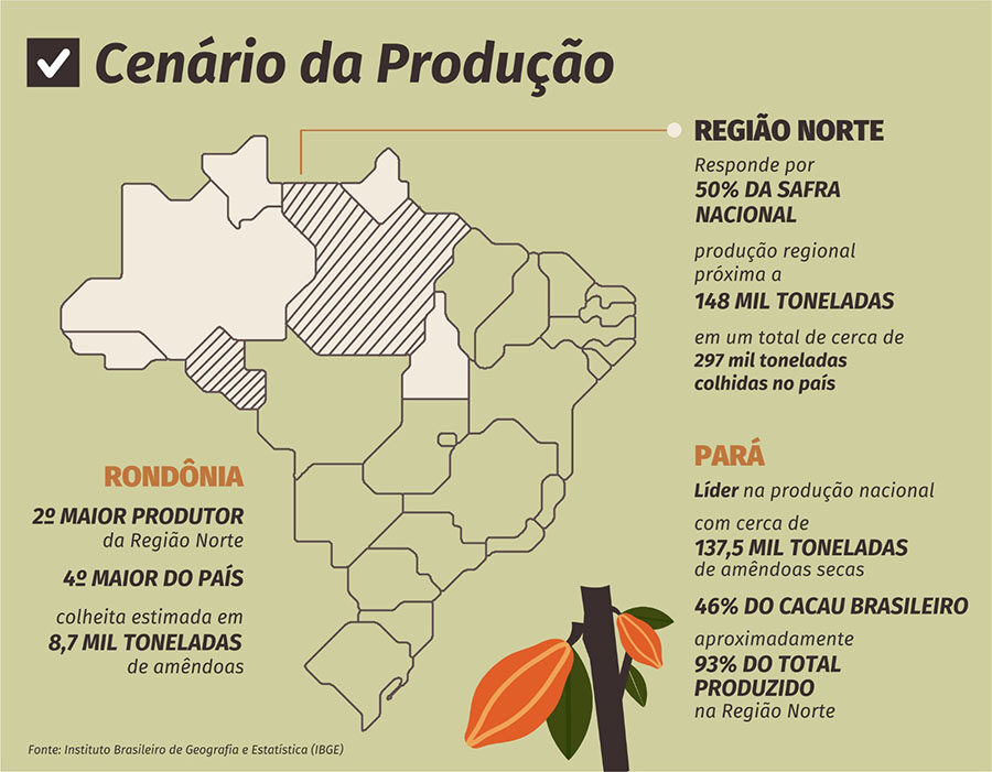 Mapeamento revela geografia da produção de cacau na Amazônia: Pará e Rondônia ganham destaque
