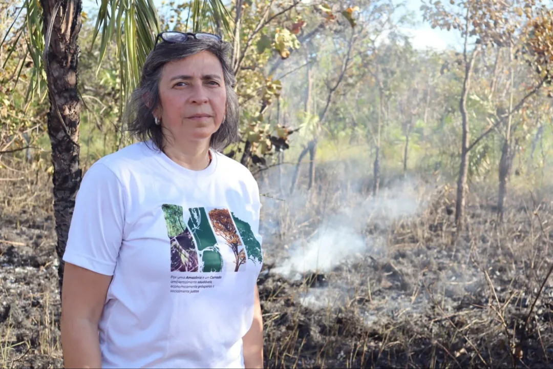 “O El Niño não coloca fogo na vegetação; no Brasil, a ignição é humana”