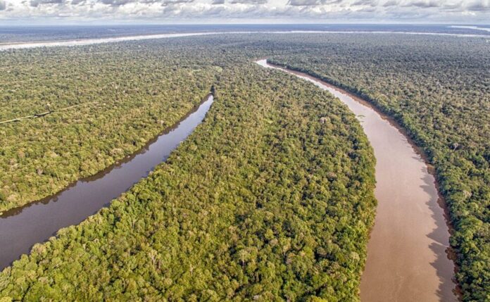 área preservada em contraste ao desmatamento
