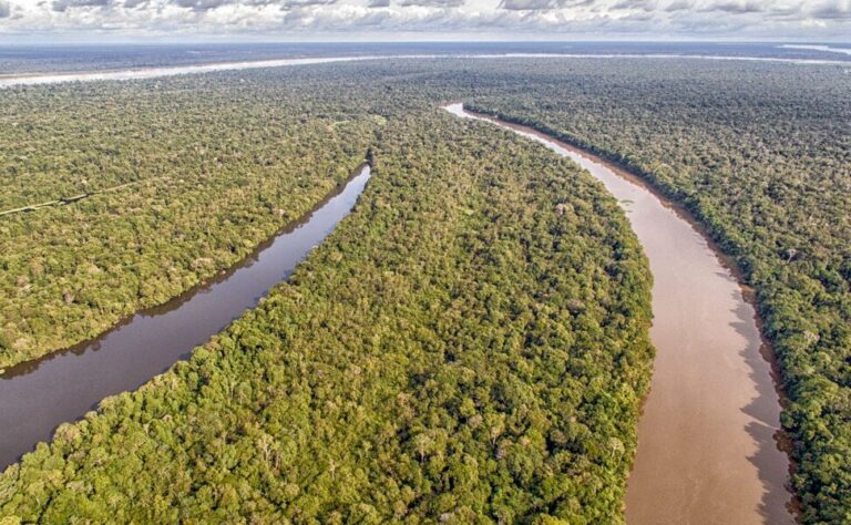 Desmatamento na Amazônia cai 36,87% no último ano, indicam dados do Deter