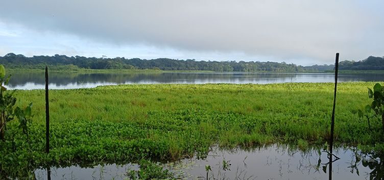 Pesquisa destaca importância da bacia hidrográfica onde estão lagos Bolonha e Água Preta, em Belém
