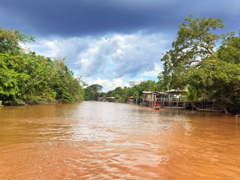 Mapeamento aponta avanço da bioeconomia na Amazônia e destaca desafios para ampliar impacto