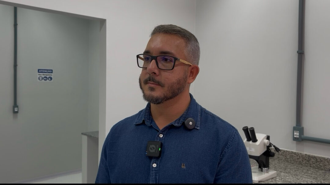 Mosquitos que ajudam a combater a dengue? Tecnologia inédita chega a Porto Velho