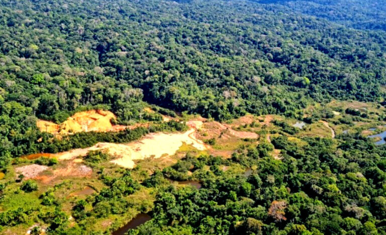 Justiça estabelece medidas para reforçar controle sobre mineração na APA do Tapajós, no Pará