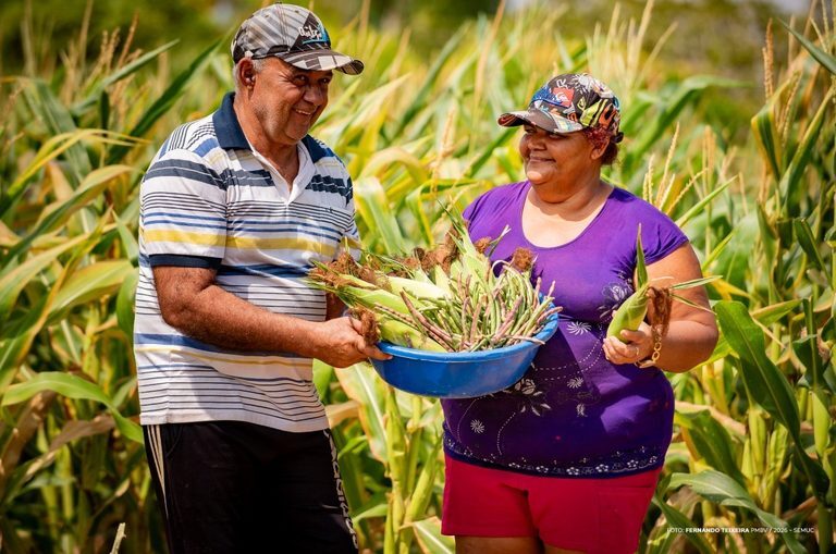 El Niño: irrigação fotovoltaica ajuda produção rural em Boa Vista