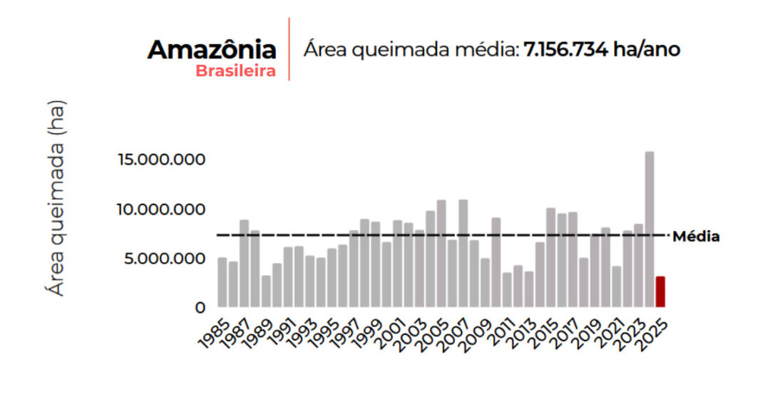 Área queimada da Amazônia Brasileira.