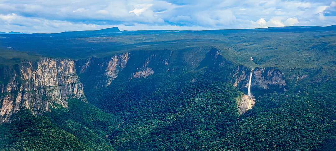 Expedição inédita vai mapear a biodiversidade do topo da Serra do Aracá, no norte do Amazonas