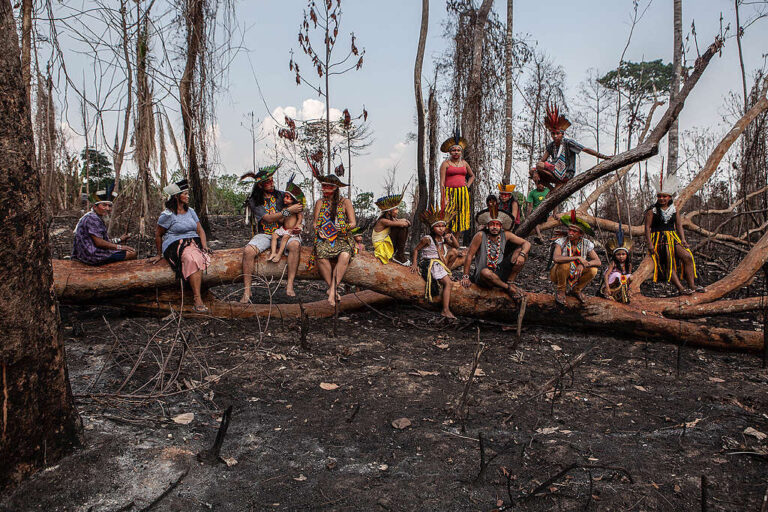 Publicação em revista internacional destaca ameaças a terras indígenas na Amazônia