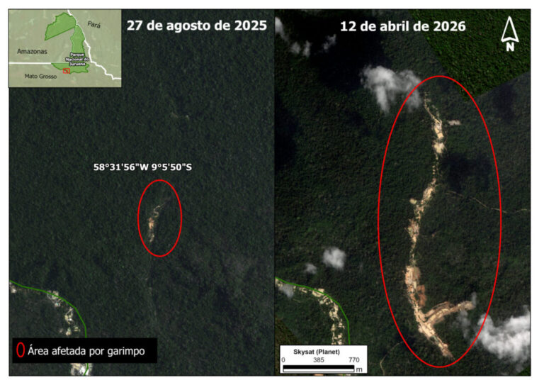 Área desmatada para garimpo ilegal cresce até 660% em áreas protegidas na bacia do Rio Juruena em Mato Grosso