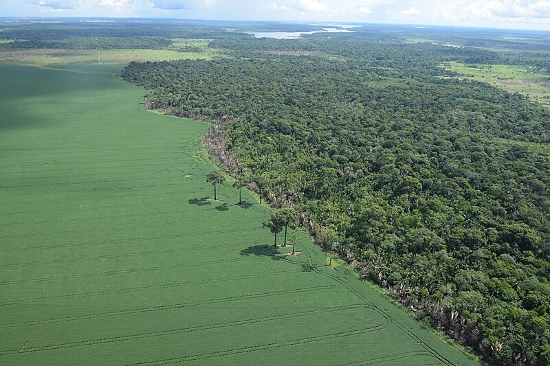 Super El Niño: Coalizão Brasil aponta quatro medidas para preparar agricultura para extremos climáticos