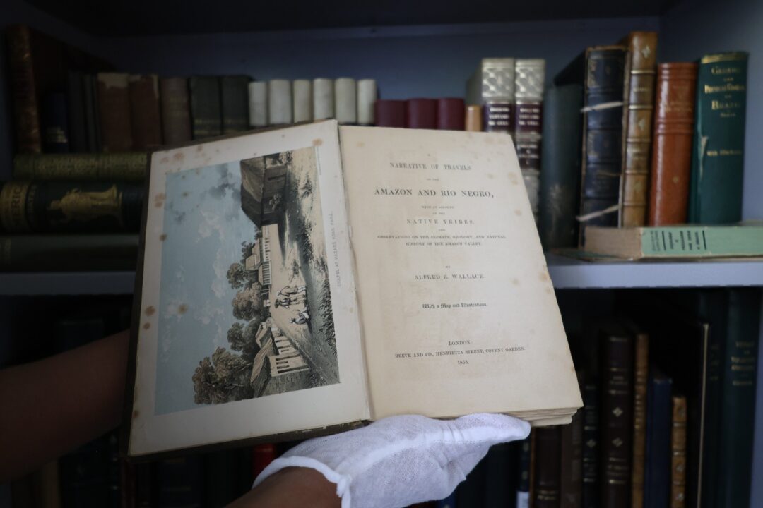 a Biblioteca Henry Walter Bates reúne toda a produção técnico-científica desenvolvida pelos pesquisadores que passaram pelo Instituto Mamirauá ao longo de décadas.