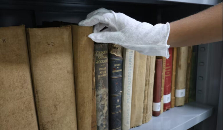 Biblioteca em Tefé, no Amazonas, reúne acervo científico especializado sobre a Amazônia