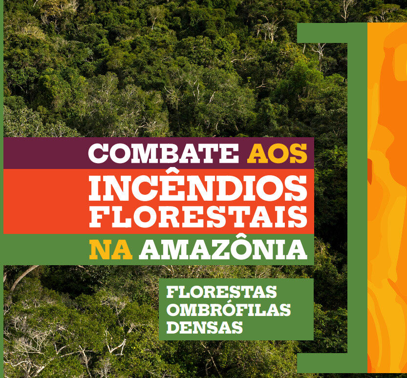Publicação inédita reúne técnicas para o combate ao fogo na Amazônia