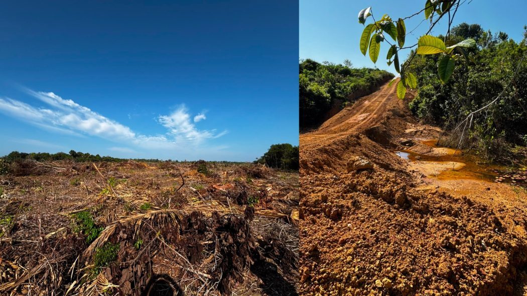 O desmatamento e a abertura de um ramal já estão provocando o secamento de uma nascente, como mostram registros feitos em julho de 2026. Fotos: Caroline Nogueira.

