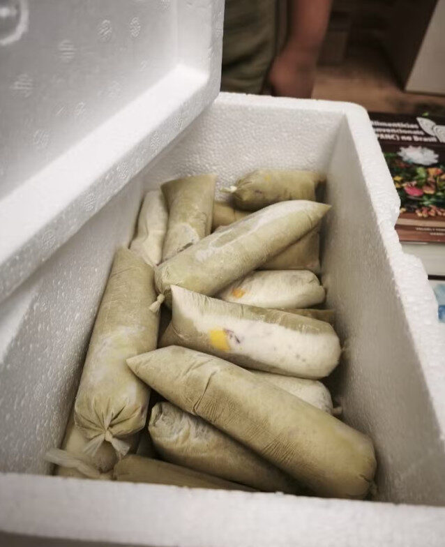 Dindin feito da PANC Vinagreira