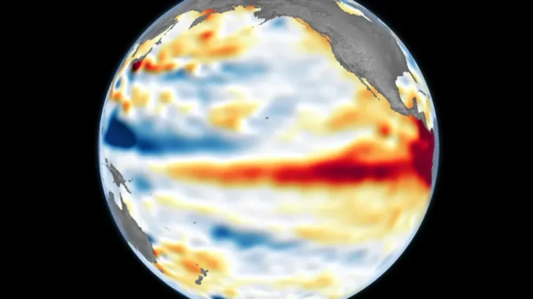 Super El Niño: Coalizão Brasil aponta quatro medidas para preparar agricultura para extremos climáticos