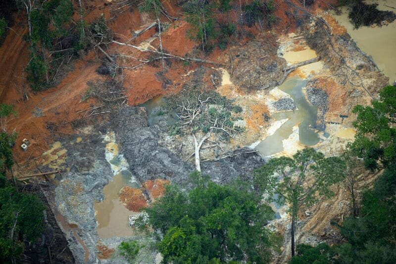 Área desmatada para garimpo ilegal cresce até 660% em áreas protegidas na bacia do Rio Juruena em MT
