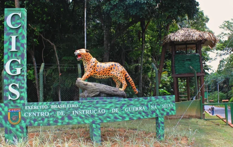 Zoológico de Manaus distribui picolés feitos de carne e frutas para ajudar animais a enfrentar o calor amazônico