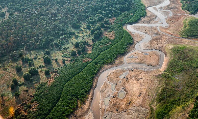 El Niño: IIAP utiliza drones, bioinsumos e DNA ambiental para reduzir riscos em florestas tropicais de altitude