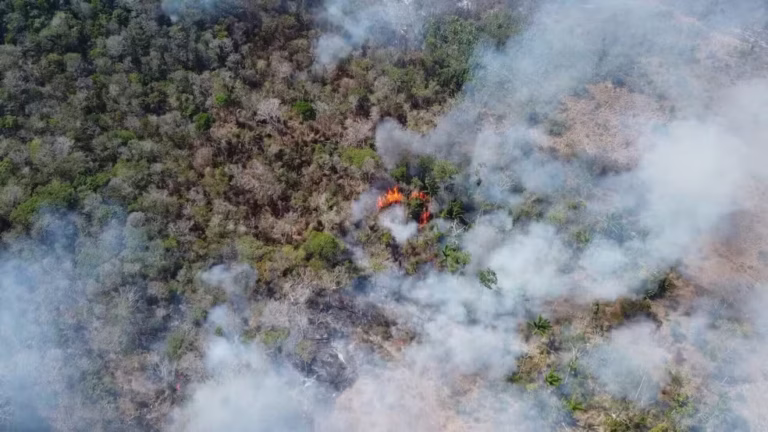 “El Niño não coloca fogo na vegetação; no Brasil, a ignição é humana”, declara diretora de Ciência do IPAM