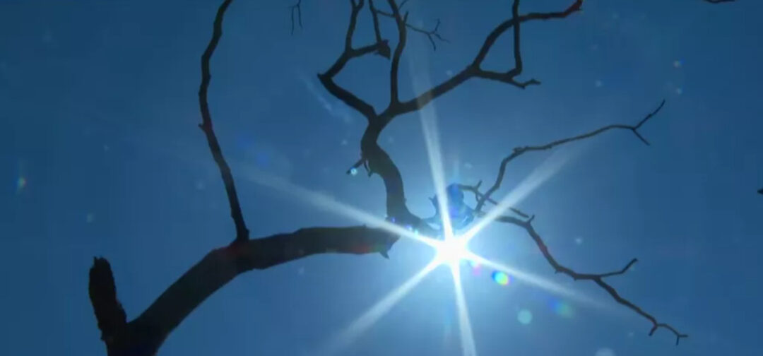 Veranico é o fenômeno meteorológico caracterizado pelo calor anormal e tempo seco num curto período de tempo.