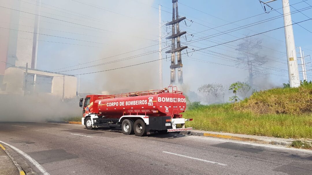 Incêndios florestais aumentaram 324% em Manaus. Foto: Divulgação/Âmbar Energia