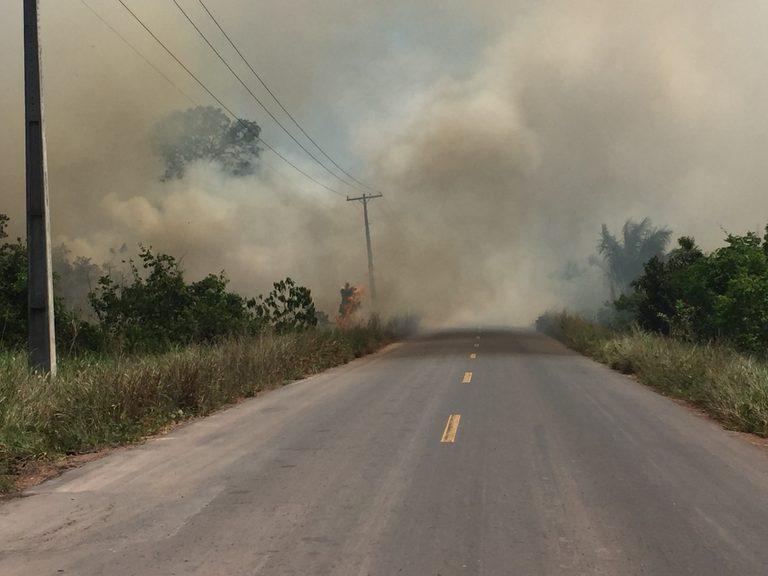 Incêndios florestais aumentam mais de 300% em Manaus durante período de estiagem; veja dicas e orientações