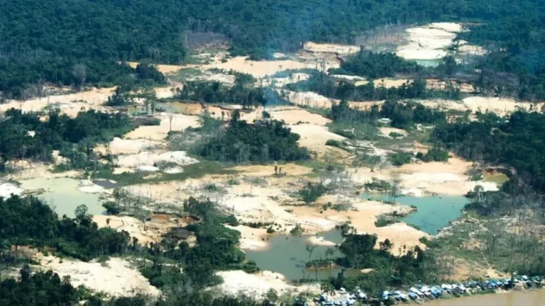 MPF processa Facebook por permitir conteúdos que incentivam garimpo ilegal na Amazônia