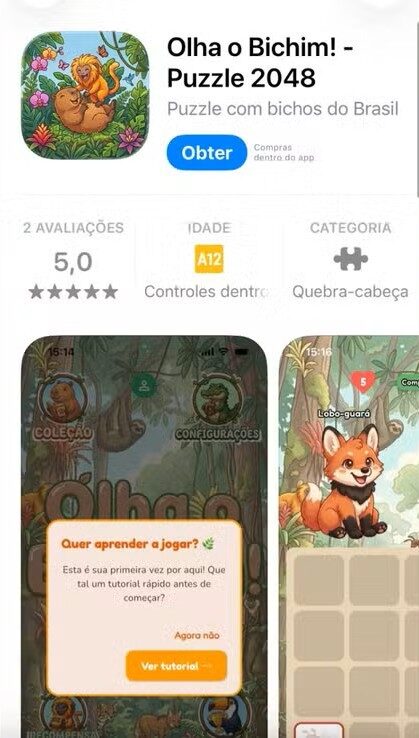 Casal do Acre cria jogo inspirado na fauna brasileira para estimular aprendizado: 'Pensado para ser lúdico'