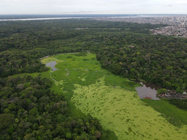 bacia hidrográfica onde estão lagos Bolonha e Água Preta, em Belém