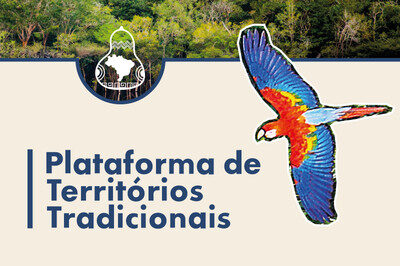 Plataforma de Territórios Tradicionais amplia acesso ao programa Floresta+ Amazônia