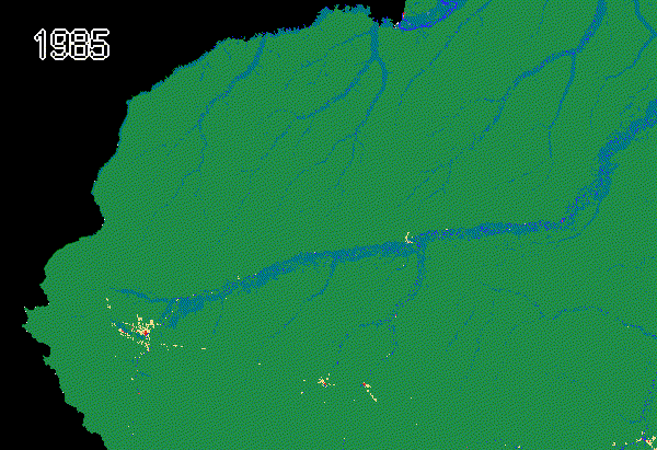 Evolução da área desmatada ao redor da Terra Indígena do Vale do Javari, localizada ao norte do Rio Juruá. Perda de vegetação nativa se acelerou nos últimos anos, especialmente nas áreas próximas às cidades de Cruzeiro do Sul, no Acre, e Ipixuna, no Amazonas. (Fonte: MapBiomas)