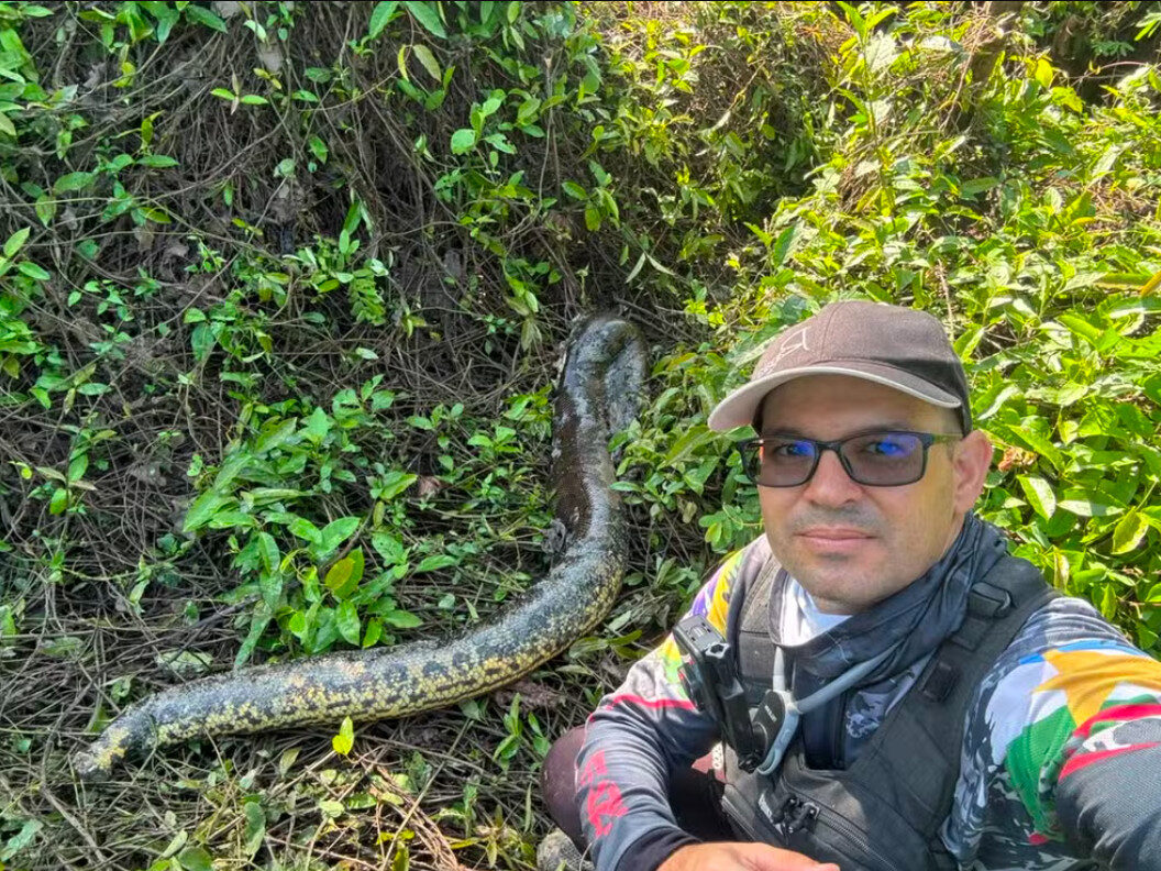 Sucuri foi encontrada pelo pescador esportivo Marcell Reis em Caracaraí, no Sul de Roraima. — Foto: Reprodução/Marcell Reis/MarcellExploreFishing